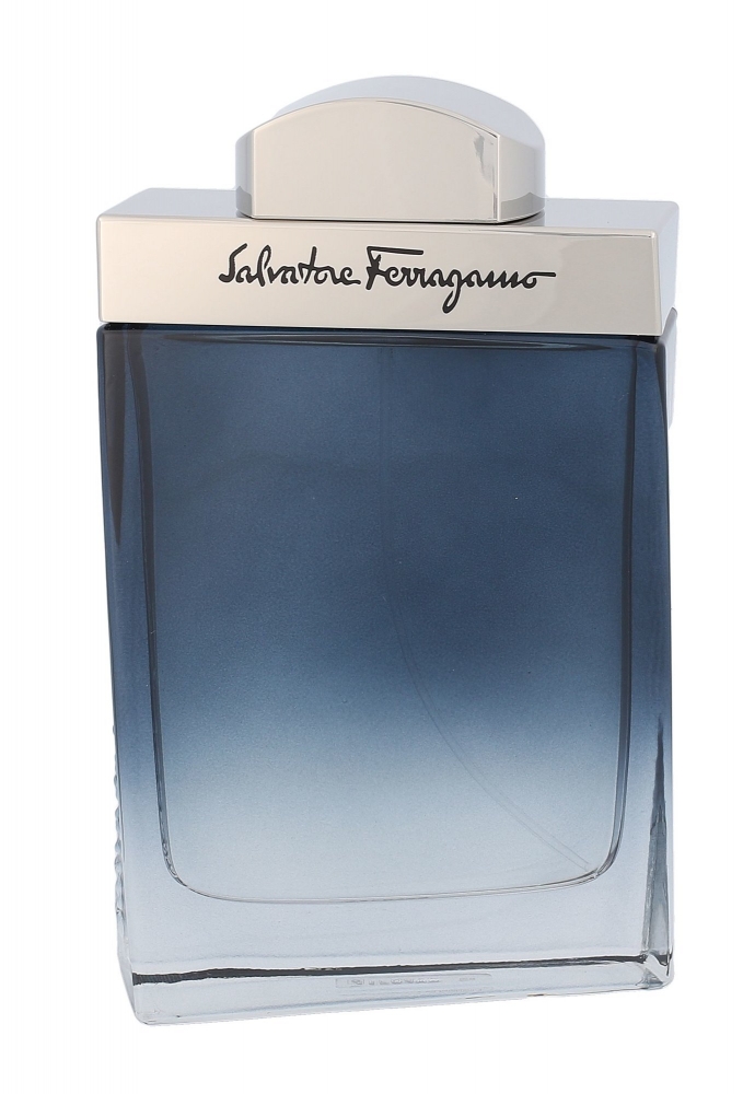 Subtil Pour Homme - Salvatore Ferragamo Apa de toaleta